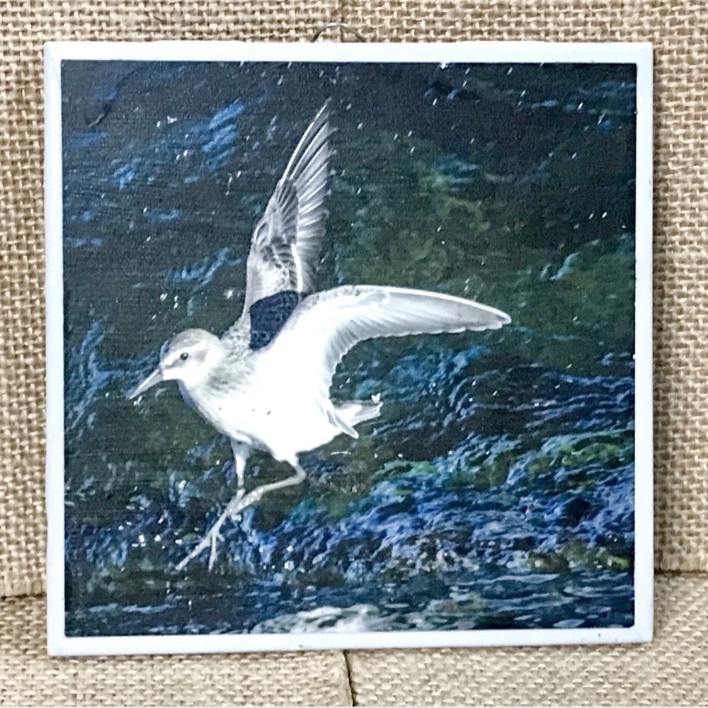 Sanderling Cork Board Back Tile Coaster Trivet Plaque Bird Nature Coastal